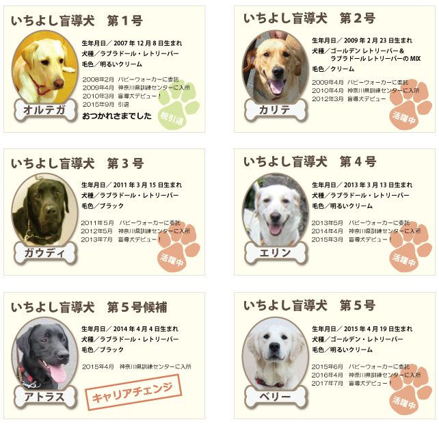 いちよし盲導犬