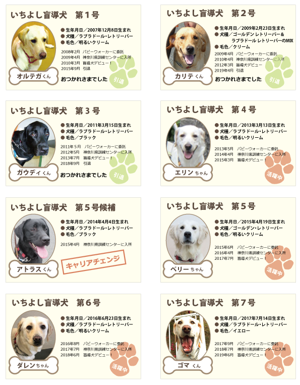 いちよし盲導犬