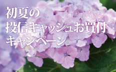 初夏の投信キャッシュお買付キャンペーン
