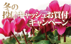 冬の投信キャッシュお買付キャンペーン